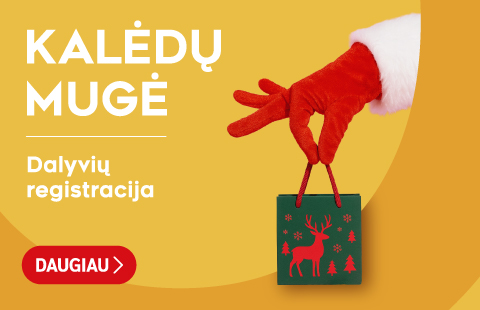 KALĖDINĖS MUGĖS DALYVIŲ REGISTRACIJA PRASIDĖJO!